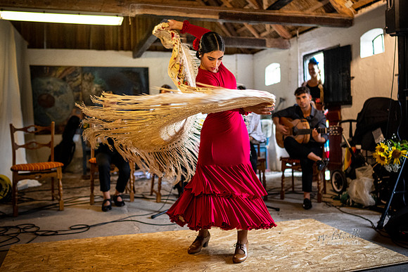 Flamenco - Nøset-web - Fotograf Per Bille-20220821DSC03165