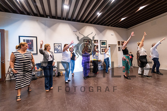 Flamenco, Jerez-web-Fotograf_Per_Bille-20221020DSC09355