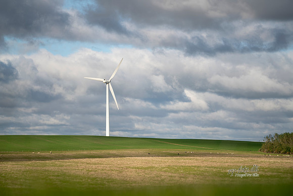 Vindmølle- print- Fotograf_Per_Bille-20201014-07333