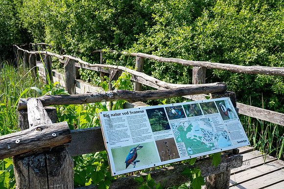 Svanesøen - Skanderboorg - print - Fotograf Per Bille-20200616-09949