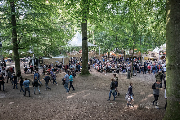 Smuk16_Stemning i skoven_Fotograf Per Bille-20160806-2693