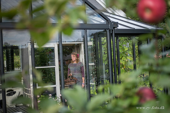 Drivhus - fotograf Per Bille-20160918-0344