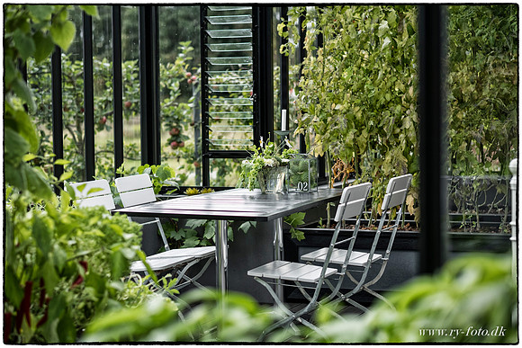 Drivhus - fotograf Per Bille-20160918-9966
