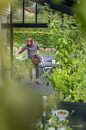 Drivhus - fotograf Per Bille-20160918-0246