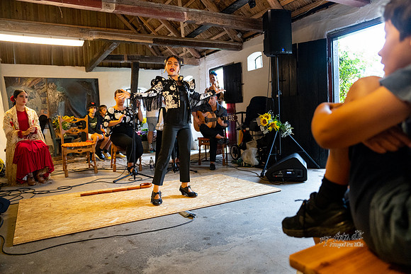 Flamenco - Nøset-web - Fotograf Per Bille-20220821DSC02959