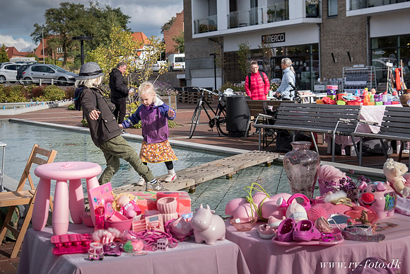 Web- Lyserød lørdag Ry - fotograf Per Bille-20161008-5281