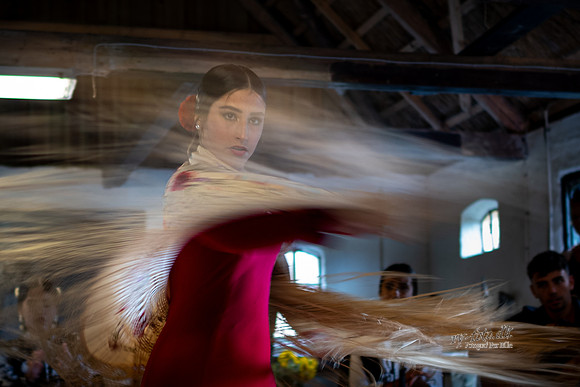 Flamenco - Nøset-web - Fotograf Per Bille-20220821DSC03377