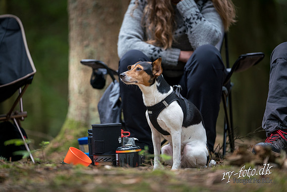Outdoor lørdag - web m logo - Fotograf Per Bille -20190608-07398