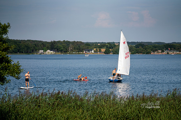 Sønder Ege - Knudsø- Print- Fotograf_Per_Bille-20200809-08975