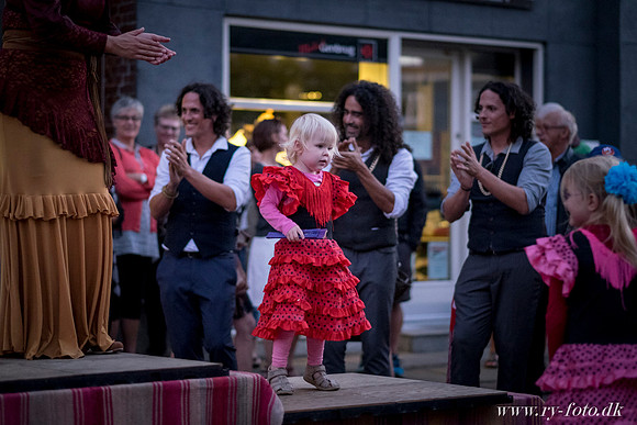 Ry by night-20160826-6216
