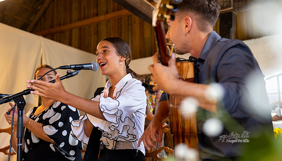 Flamenco - Nøset-web - Fotograf Per Bille-20220821DSC03495