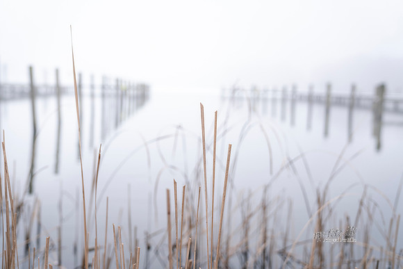 Ry Vinter - print - Fotograf_Per_Bille-20190126-02378