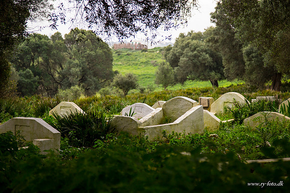 Marokko 2013-20130323-9873