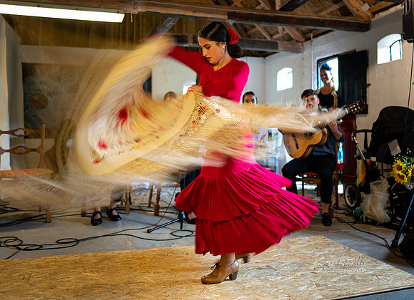 Flamenco - Nøset-web - Fotograf Per Bille-20220821DSC03367