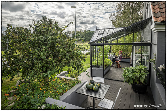 Drivhus - fotograf Per Bille-20160918--3