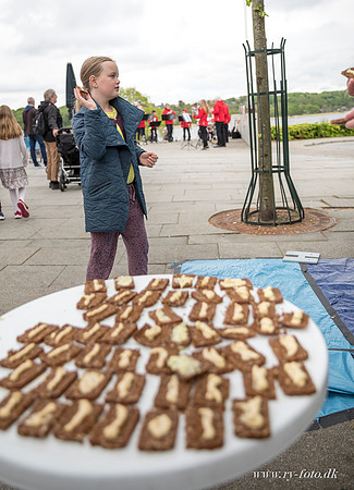 Sløngendag Lørdag - web - fotograf Per Bille-20170520-3481