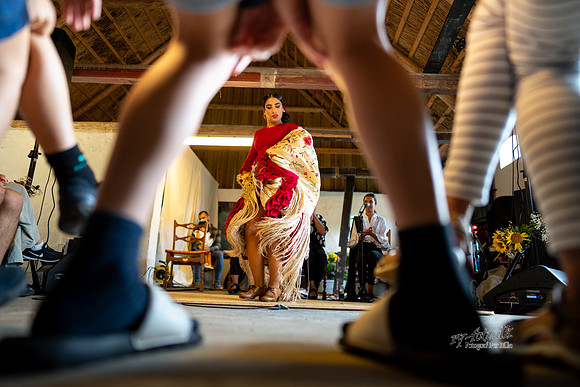 Flamenco - Nøset-web - Fotograf Per Bille-20220821DSC03461