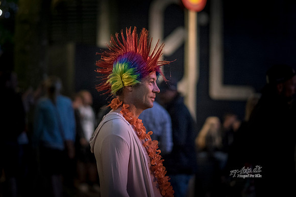 Smuk16_Stemning i skoven_Fotograf Per Bille-20160806-2900