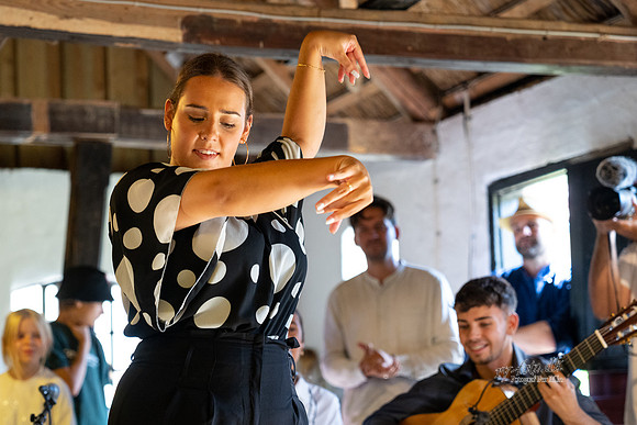 Flamenco - Nøset-web - Fotograf Per Bille-20220821DSC03629