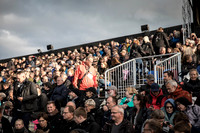 røde orm - web- Fotograf Per Bille-20170624-5481