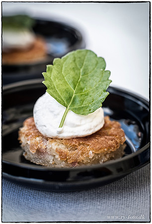 Europæisk Gastronomiregion 2017- web- Fotograf Per Bille-20170418-4852