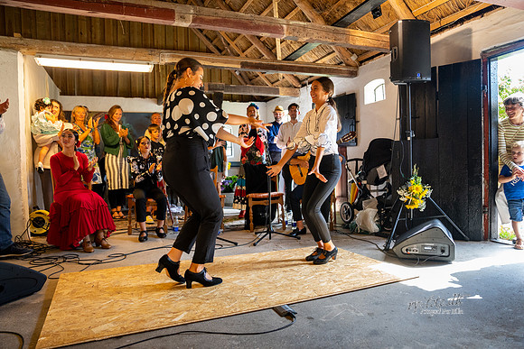 Flamenco - Nøset-web - Fotograf Per Bille-20220821DSC03641