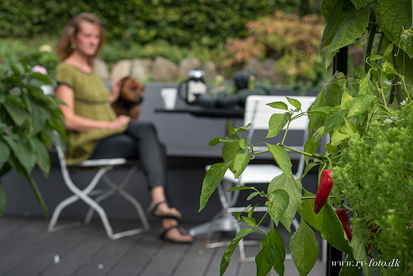 Drivhus - fotograf Per Bille-20160918-0103