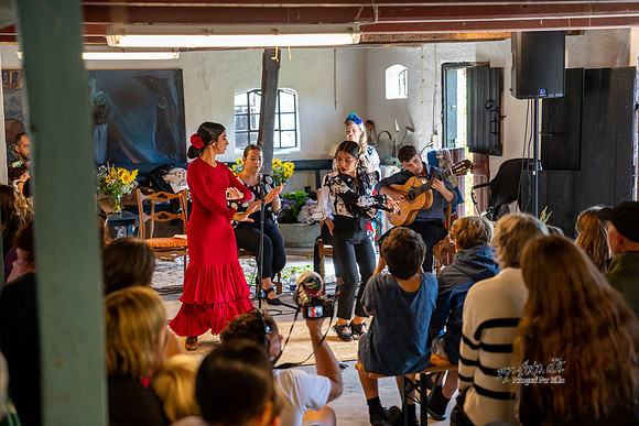 Flamenco - Nøset-web - Fotograf Per Bille-20220821DSC03522