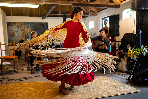 Flamenco - Nøset-web - Fotograf Per Bille-20220821DSC03147