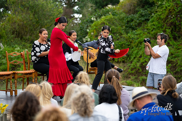 Flamenco - Nøset-web - Fotograf Per Bille-20220821DSC02799