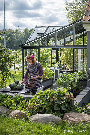 Drivhus - fotograf Per Bille-20160918--13