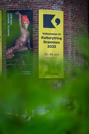 Kulturytring, skilt-web-Fotograf Per Bille-20250622-AAA09500