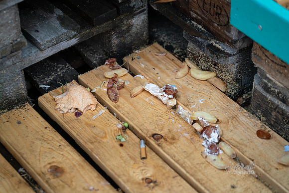 Smukfest 2019 mandag - avis - Fotograf Per Bille -02948