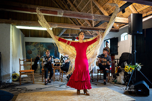 Flamenco - Nøset-web - Fotograf Per Bille-20220821DSC03101
