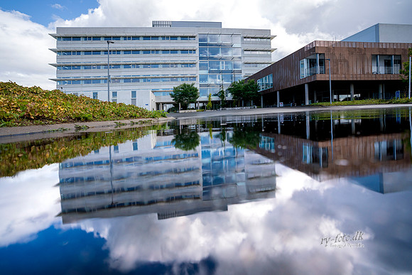 Skanderborg - print - Fotograf_Per_Bille-20200905-07485