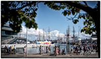 THE TALL SHIPS RACES 2019 - FB - Fotograf Per Bille -08679