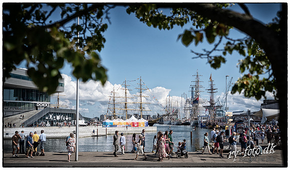 THE TALL SHIPS RACES 2019 - FB - Fotograf Per Bille -08679