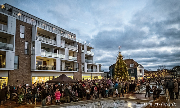 web Juletræstænding mm- fotograf Per Bille-2-25