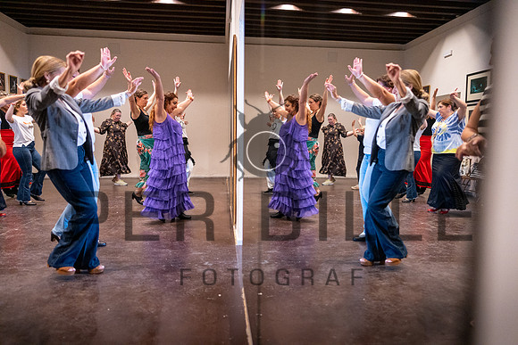 Flamenco, Jerez-web-Fotograf_Per_Bille-20221020DSC09330
