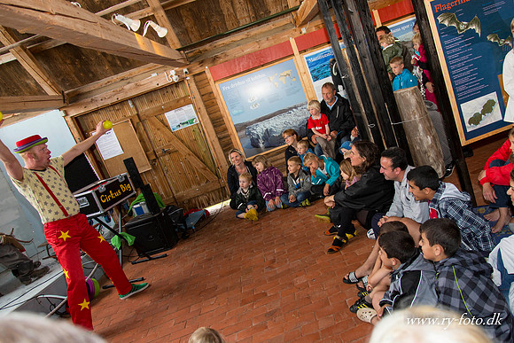 Sommerl�rdag 2012-9694