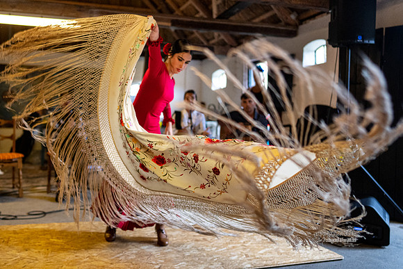 Flamenco - Nøset-web - Fotograf Per Bille-20220821DSC03132