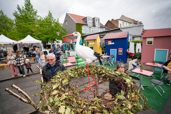 Sløngeldage-web-Fotograf Per Bille-20220521DSA07553