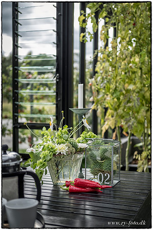 Drivhus - fotograf Per Bille-20160918--6