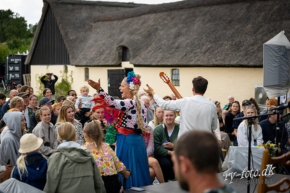 Flamenco - Nøset-web - Fotograf Per Bille-20220821DSC02771