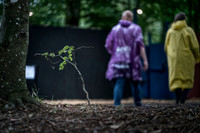 Antidagligdag - onsdag - Avis- Fotohgraf Per BilleDSC04074-Edit