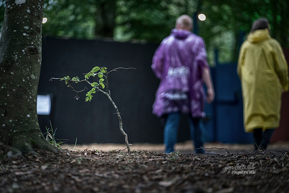 Antidagligdag - onsdag - Avis- Fotohgraf Per BilleDSC04074-Edit