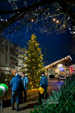 julebelysning -web- Fotograf_Per_Bille-20201208-04998