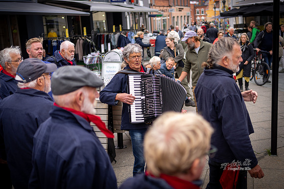 Gågaden, KM24, Lemvig Shantykor synger gamle arbejdssange-print-Fotograf Per Bille-20230824DSC06647