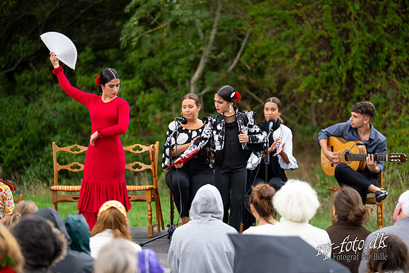 Flamenco - Nøset-web - Fotograf Per Bille-20220821DSC02823