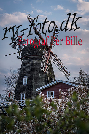 Ry - fuld opløsning - Fotograf Per Bille-20180502-01918-2